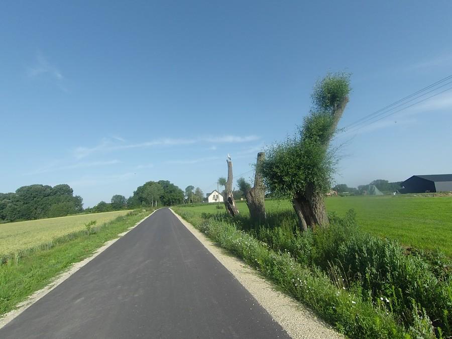Ładny asfalt