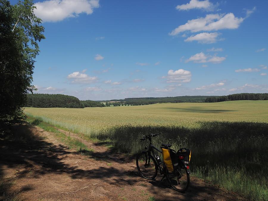 Na wzniesieniu za Mierczanami, widok na Szarłatkę