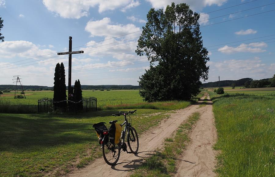 Polna a następnie leśna droga z Gądkowa Wielkiego do Mierczan
