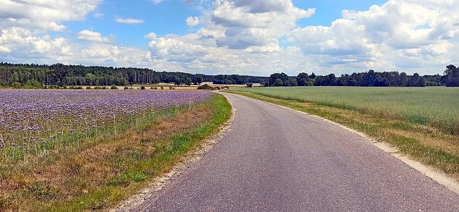 Dolnośląska Droga św. Jakuba między Bądzowem a Golowicami