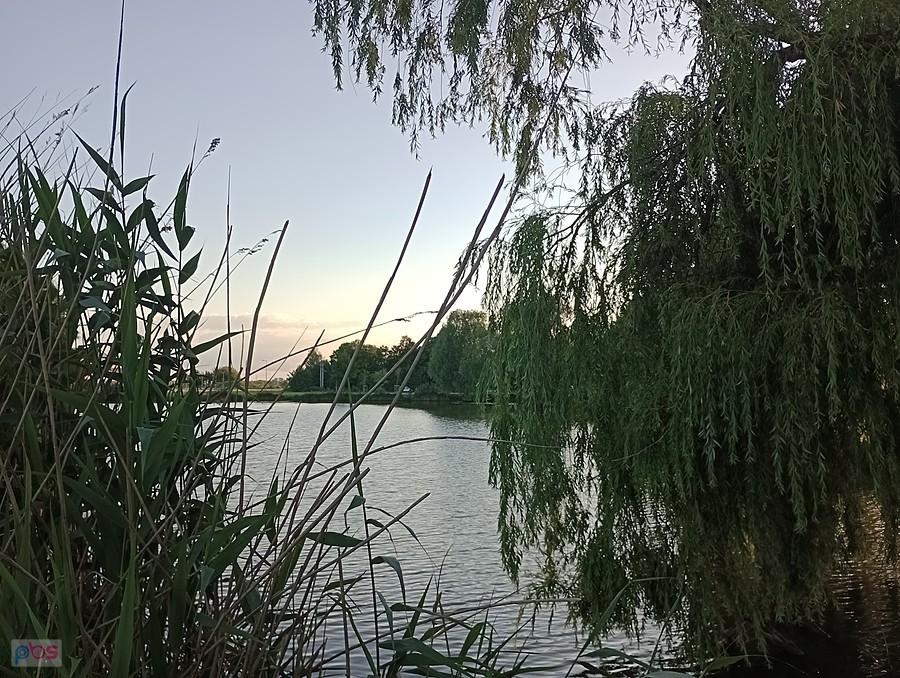 Staw w Zielonkach