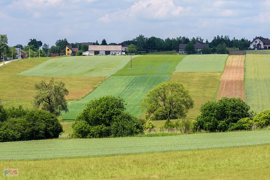 Pińczyckie Górki
