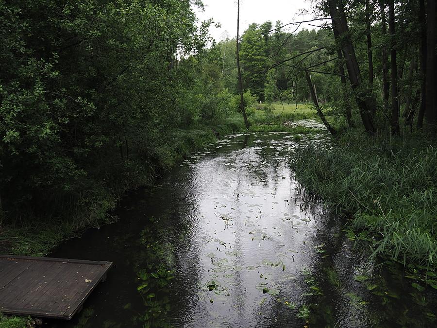 Ilanka za Starościnem