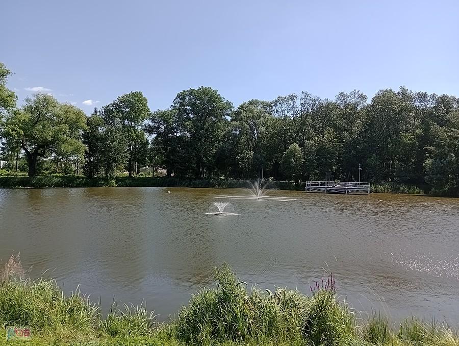 Staw w Ołtarzewie