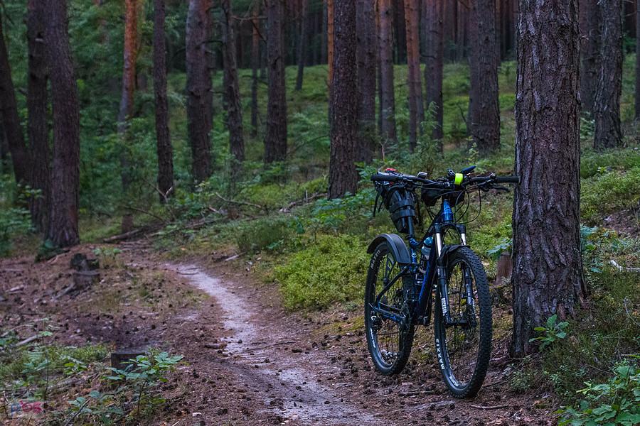 Las w Skrajnicy i moja Merida One-Twenty 9.600 przy żółtym szlaku pieszym.