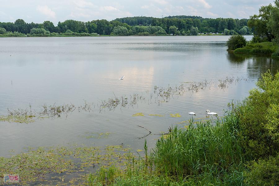 Zalew Przeczyce widziany z małej tamy - Boguchwałowice