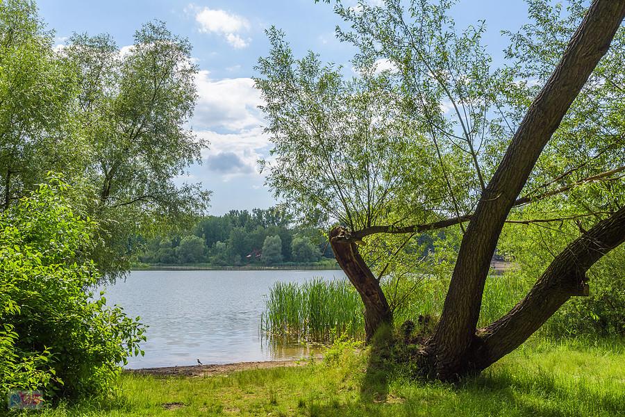 Zalew Przeczyce - widok z brzegu przy ul. Nadbrzeżnej - Boguchwałowice