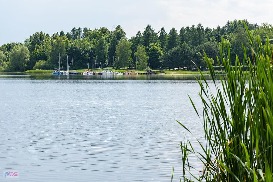Zalew Przeczyce - widok z brzegu przy ul. Nadbrzeżnej - Boguchwałowice