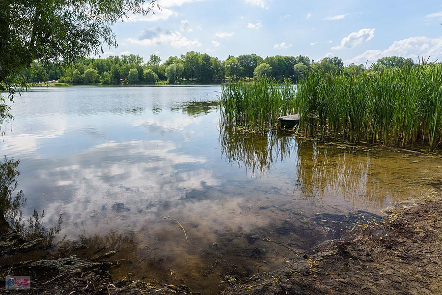 Zalew Przeczyce - widok z brzegu przy ul. Nadbrzeżnej - Boguchwałowice