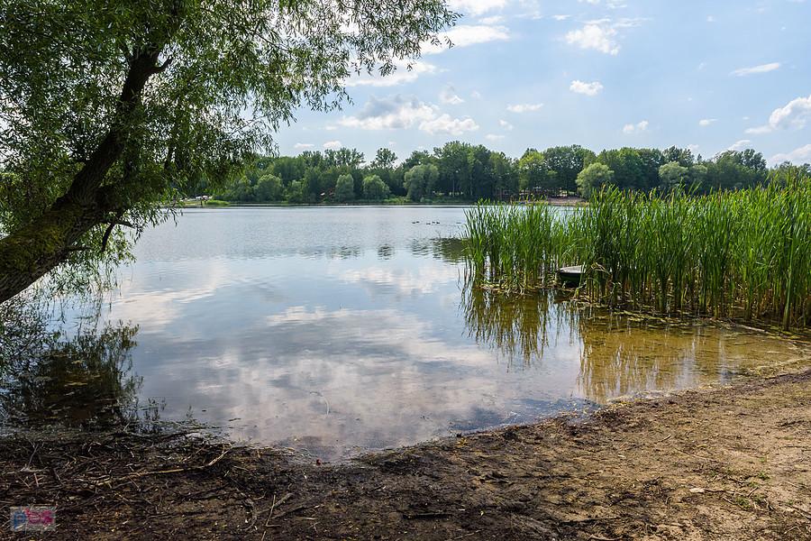 Zalew Przeczyce - widok z brzegu przy ul. Nadbrzeżnej - Boguchwałowice