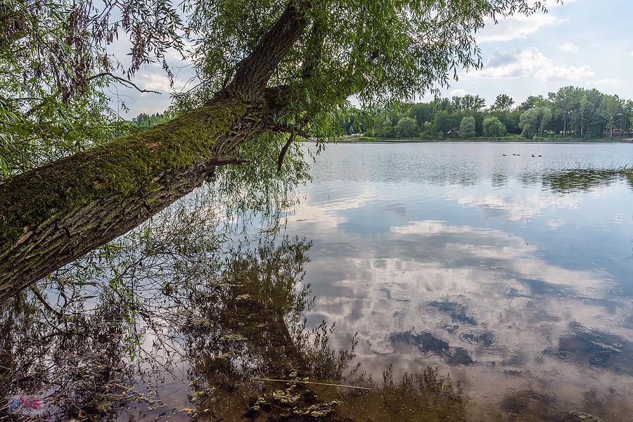 Zalew Przeczyce - widok z brzegu przy ul. Nadbrzeżnej - Boguchwałowice