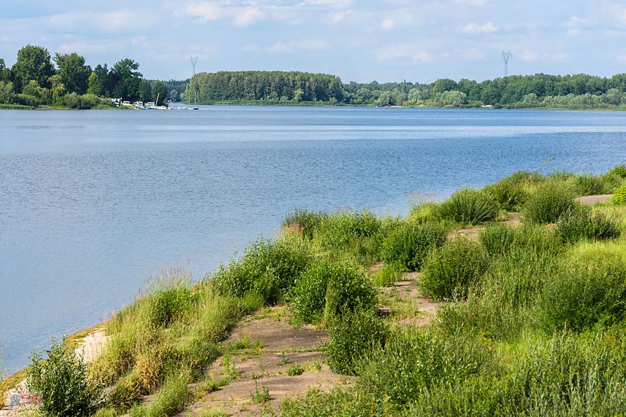 Zalew Przeczyce widziany z południowego brzegu