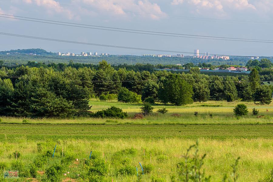 Tuliszów