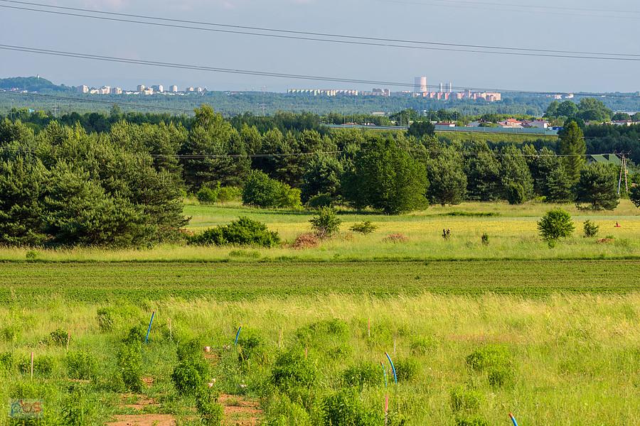 Tuliszów