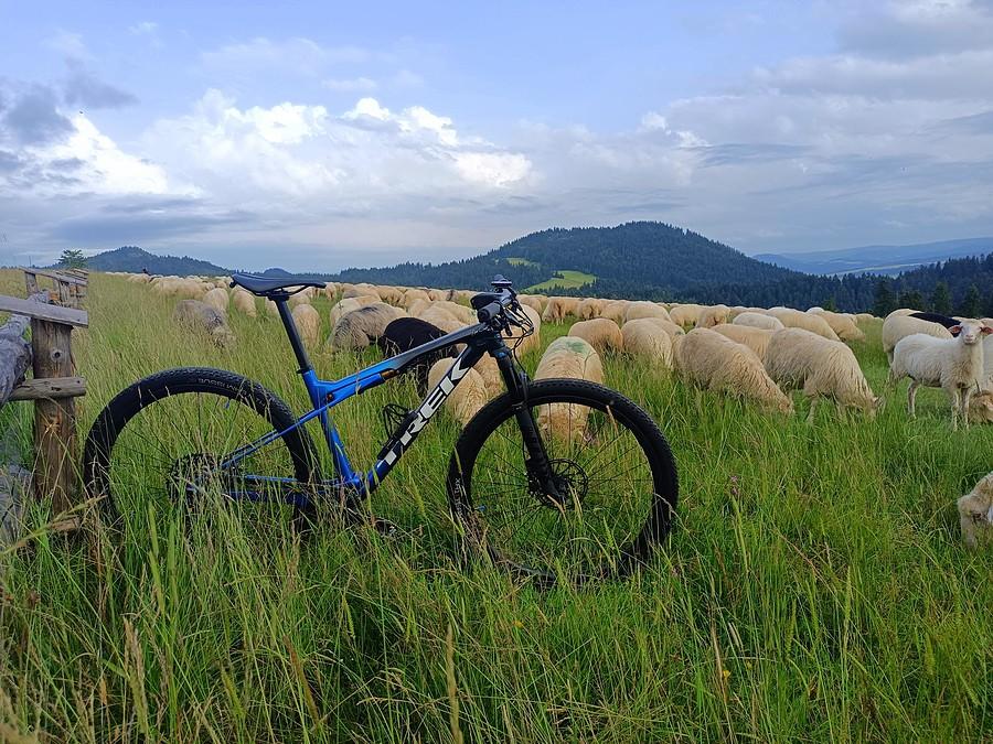 Full Trektor i łowiecki ;)
