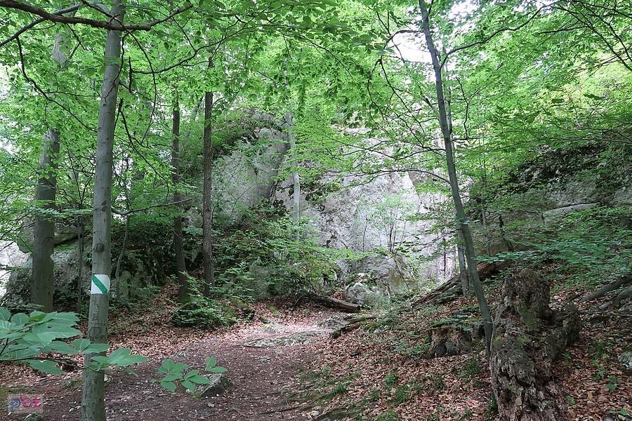 Skała na Pustelnicy