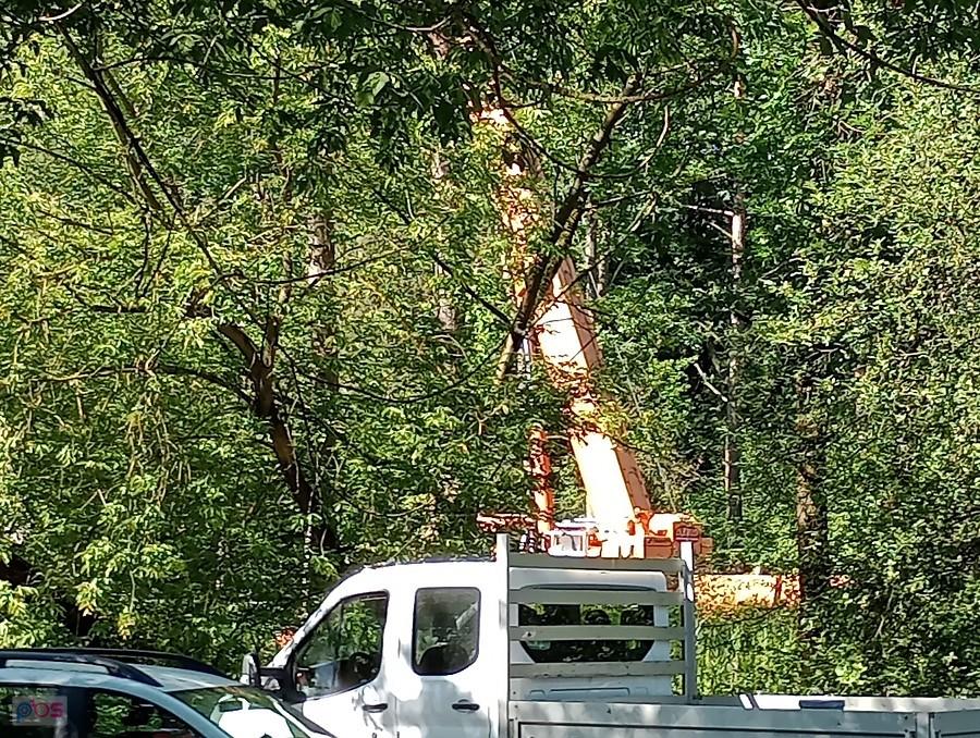 Dźwig na budowie gazociągu przez las