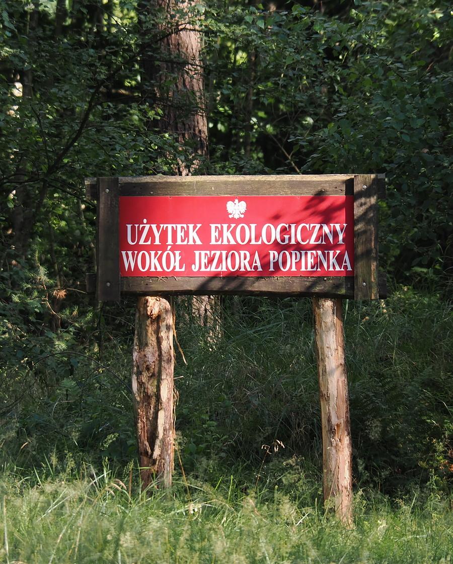 Użytek ekologiczny wokół Jeziora Popienka