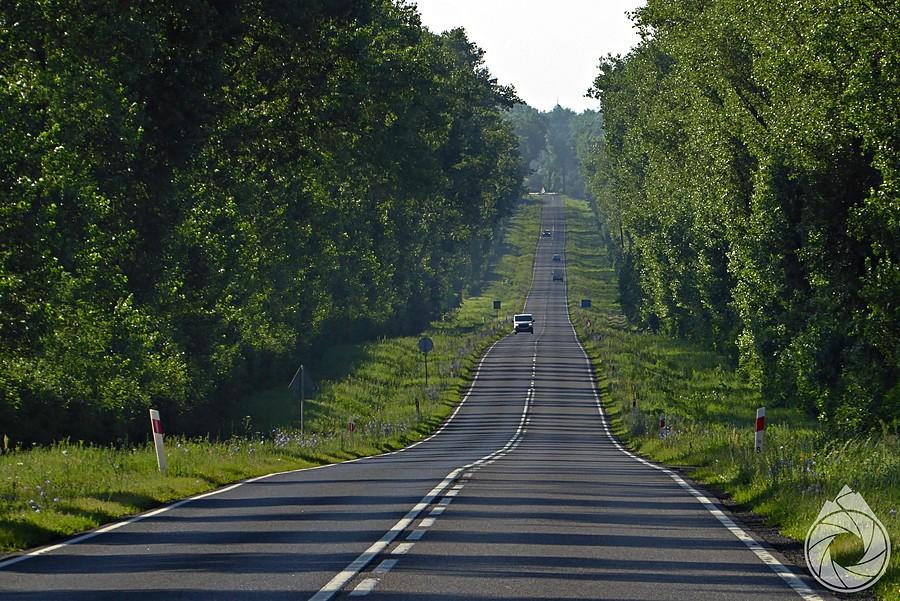 proste przed Krosnem Odrzańskim