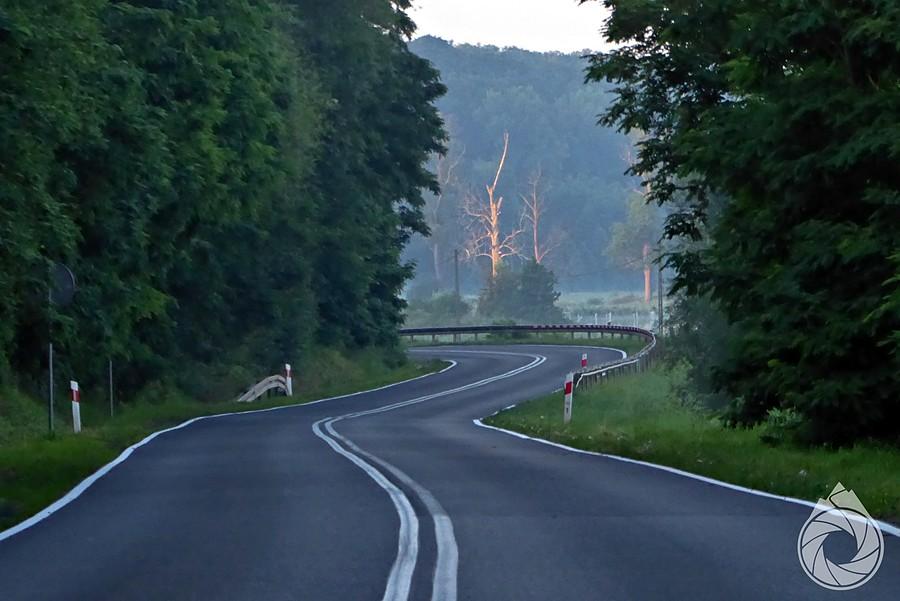 poranek w dolinie Odry pod Słubicami