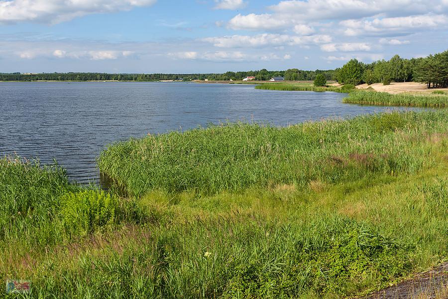 Zbiornik wodny "Poraj" widziany z południowego brzegu w pobliżu Kuźnicy Starej.