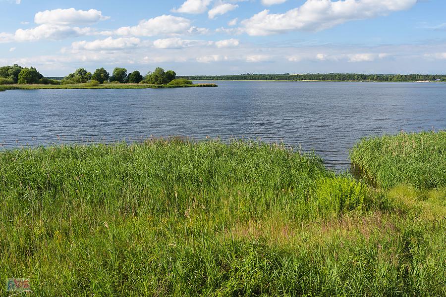 Zbiornik wodny "Poraj" widziany z południowego brzegu w pobliżu Kuźnicy Starej i fragment Ptasiej Wyspy.