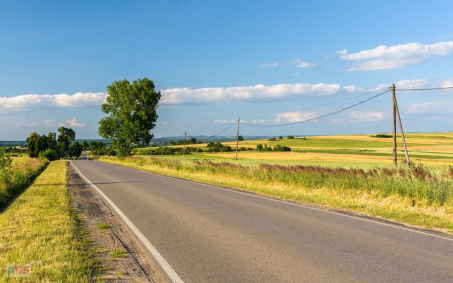 Cynków, widok w kierunku Koziegłów