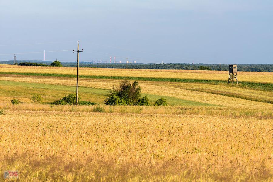 Cynków - widok na południowy wschód