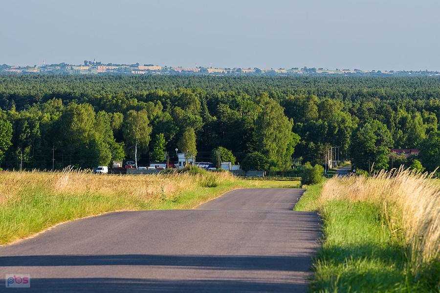 Cynków, widok na południe