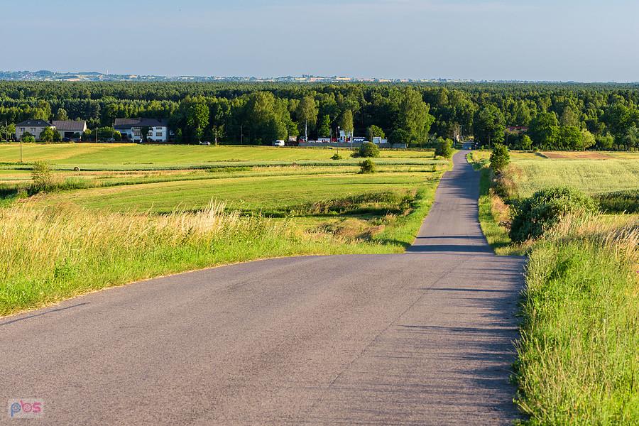 Cynków, widok na południe