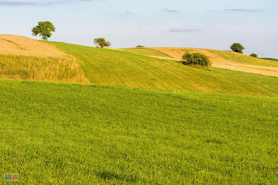 Cynków (Koziegłowy)