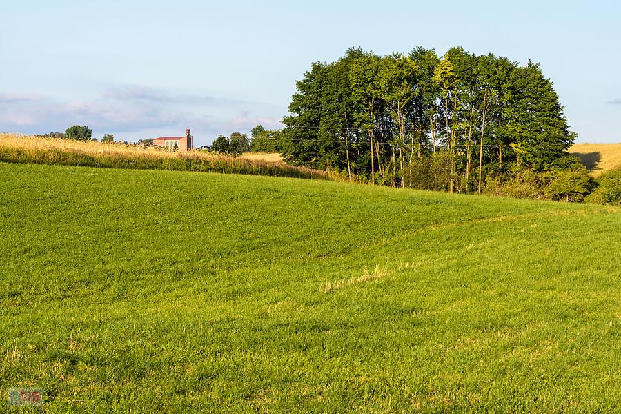 Cynków (Koziegłowy)