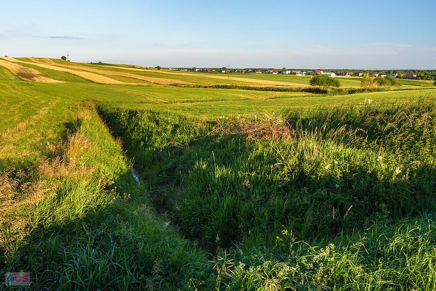 Cynków (Koziegłowy)