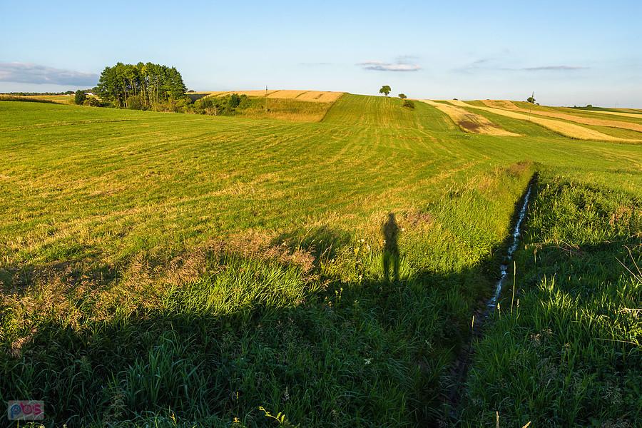 Cynków (Koziegłowy)