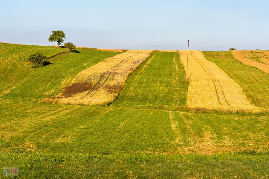 Cynków (Koziegłowy)