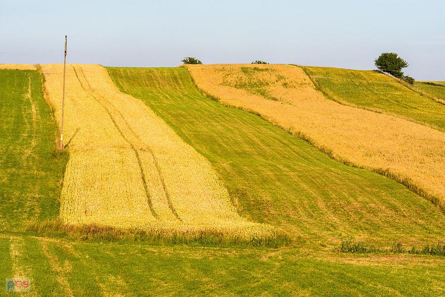 Cynków (Koziegłowy)