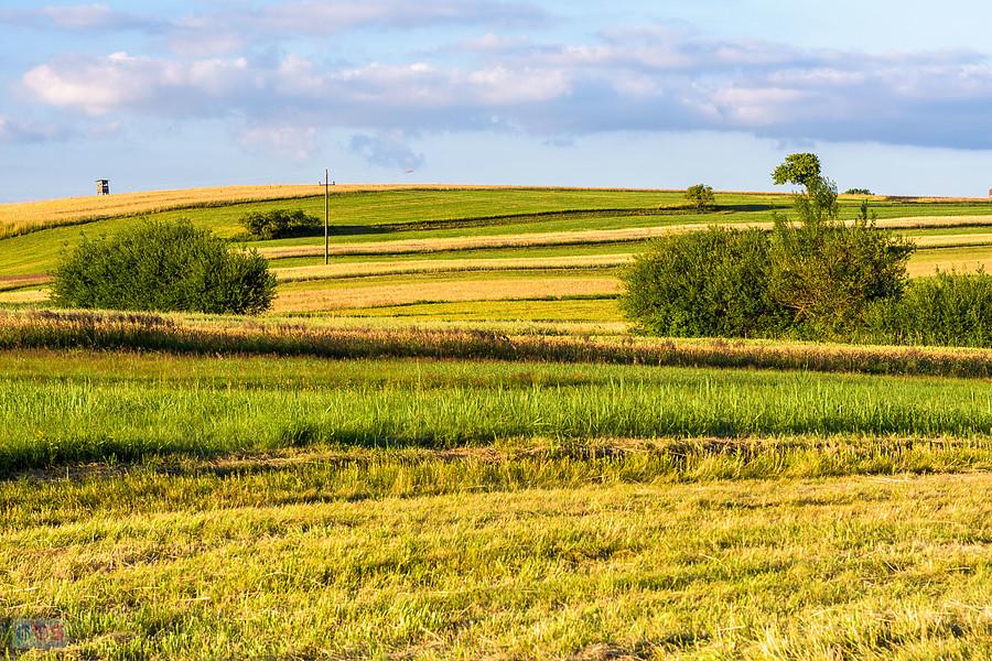 Cynków (Koziegłowy)