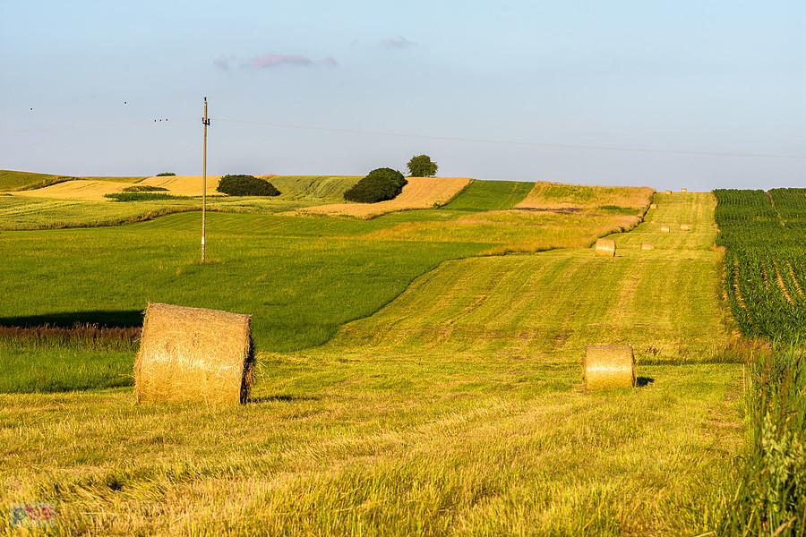 Cynków (Koziegłowy)