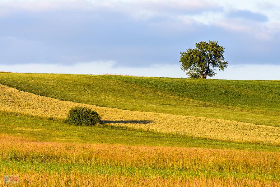 Cynków (Koziegłowy)