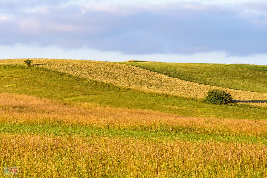 Cynków (Koziegłowy)