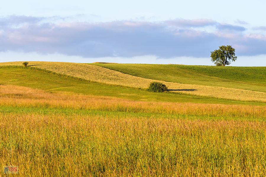 Cynków (Koziegłowy)