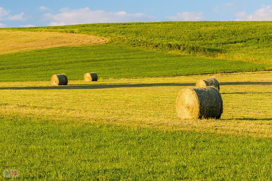Woźniki, pole jeszcze niedaleko Cynkowa