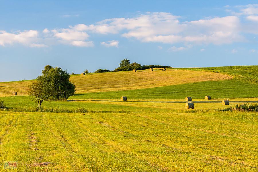 Woźniki, pole jeszcze niedaleko Cynkowa