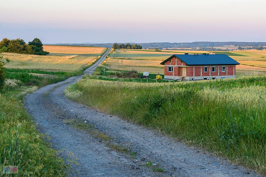 Woźniki - widok na wschód w pobliżu Coglowej Góry