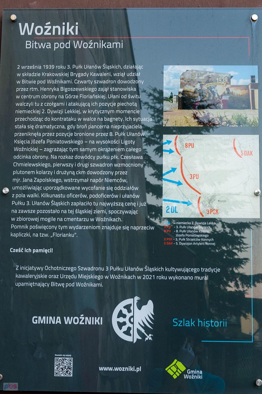 Bitwa pod Woźnikami
