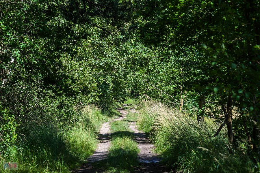 Bizja, Kochanowice - droga za plecami