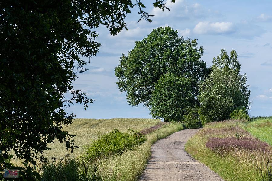 Kochanowice, droga za plecami, czyli przedłużenie ul. Wiejskiej.