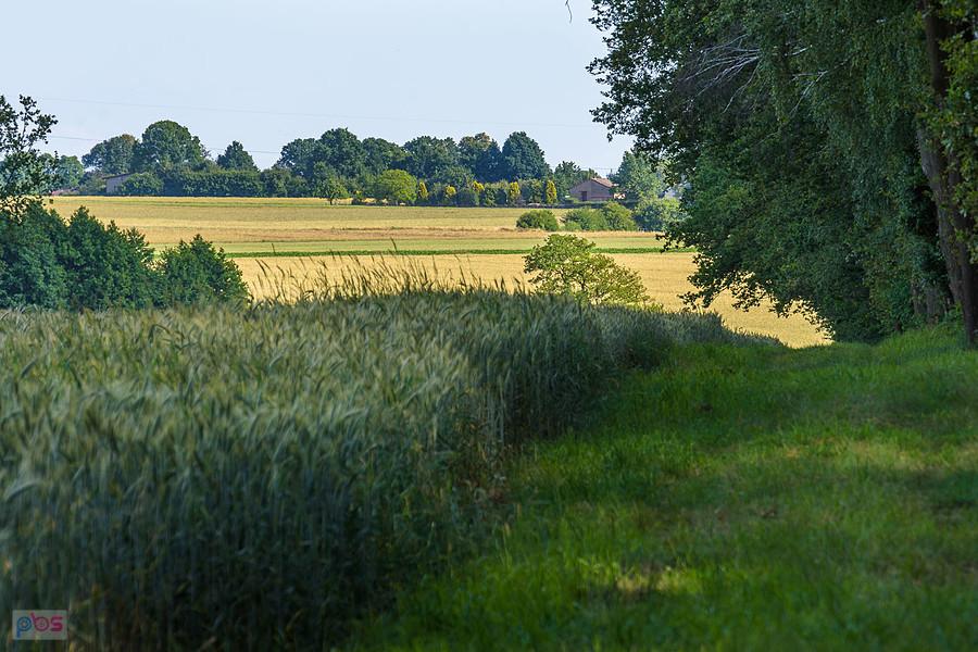 Sadów, w oddali przysiółek Blich