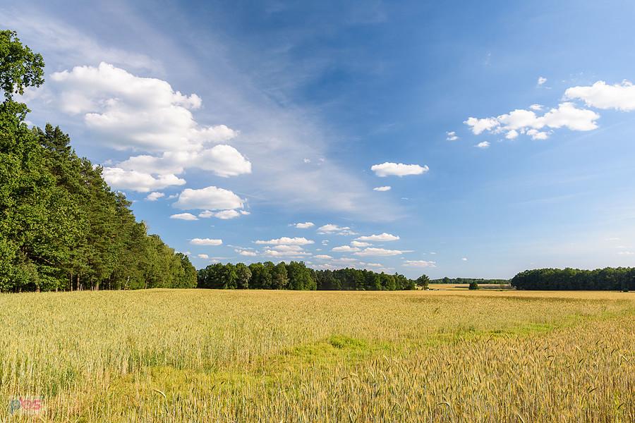 Sadów, w oddali przysiółek Blich