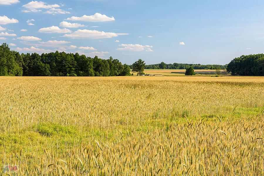Sadów, w oddali przysiółek Blich
